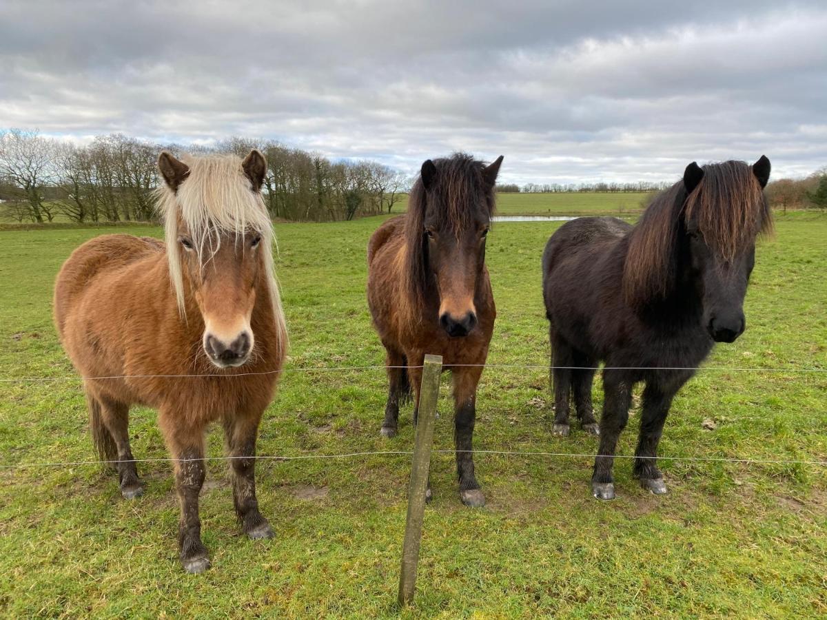 Nyopfort Luksusvaerelse I Naturskonne Og Rolige Omgivelser Branderup Bagian luar foto