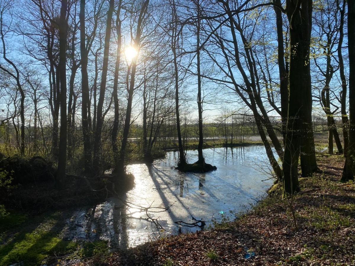 Nyopfort Luksusvaerelse I Naturskonne Og Rolige Omgivelser Branderup Bagian luar foto