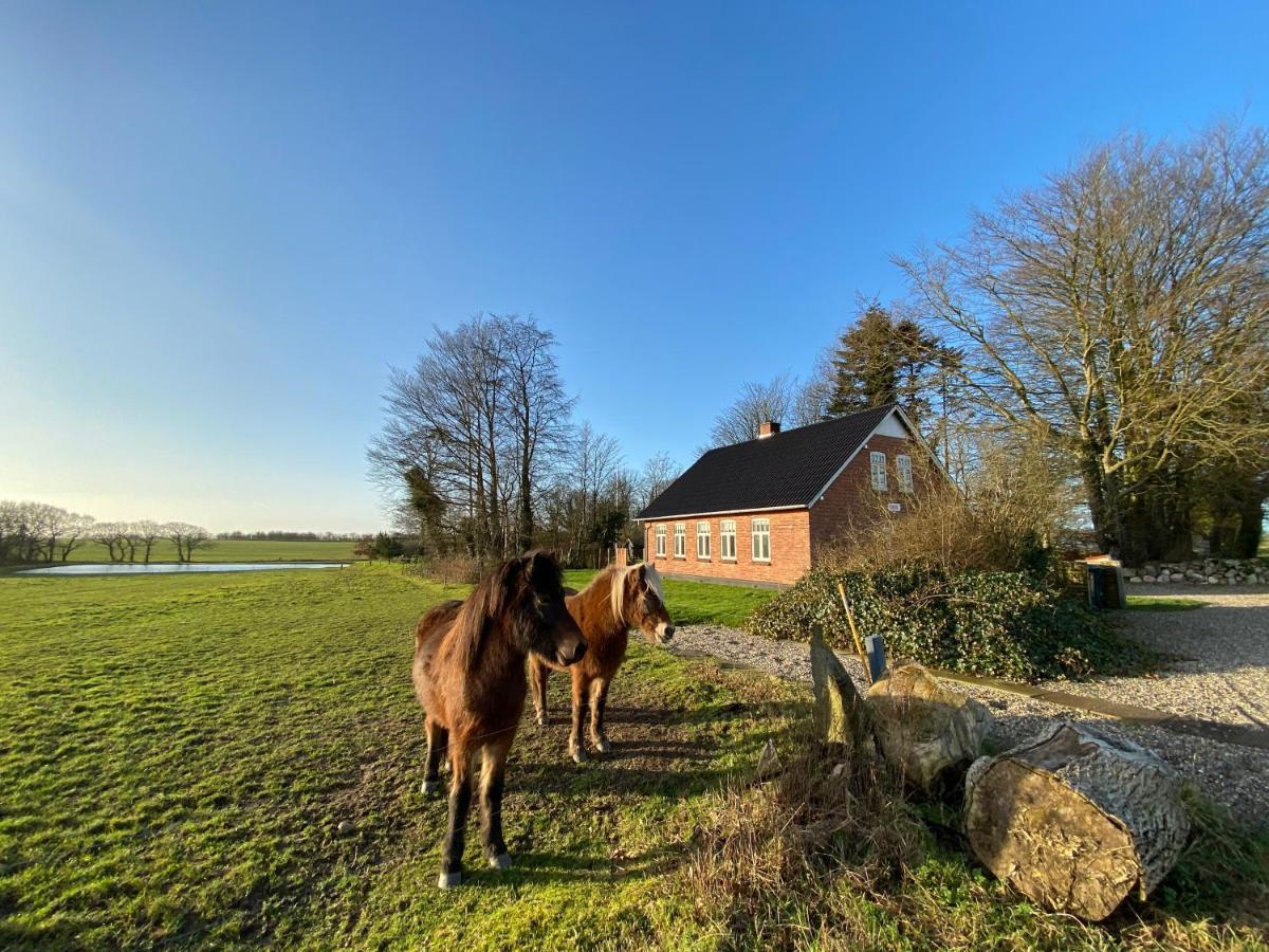 Nyopfort Luksusvaerelse I Naturskonne Og Rolige Omgivelser Branderup Bagian luar foto
